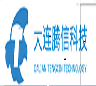 大连软件开发 区域优势、产业现状与未来展望