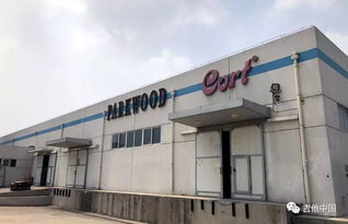 吉他中国微参观 2017大连可尔特吉他工厂行纪实与软件开发启示